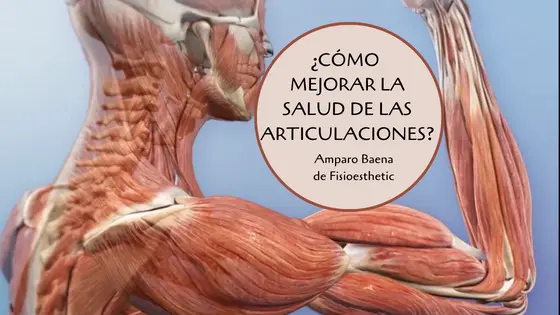 Que es util para fortalecer el sistema articular