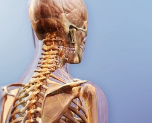 Salud articular