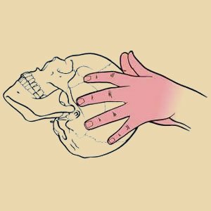 Terapia cráneo-sacral